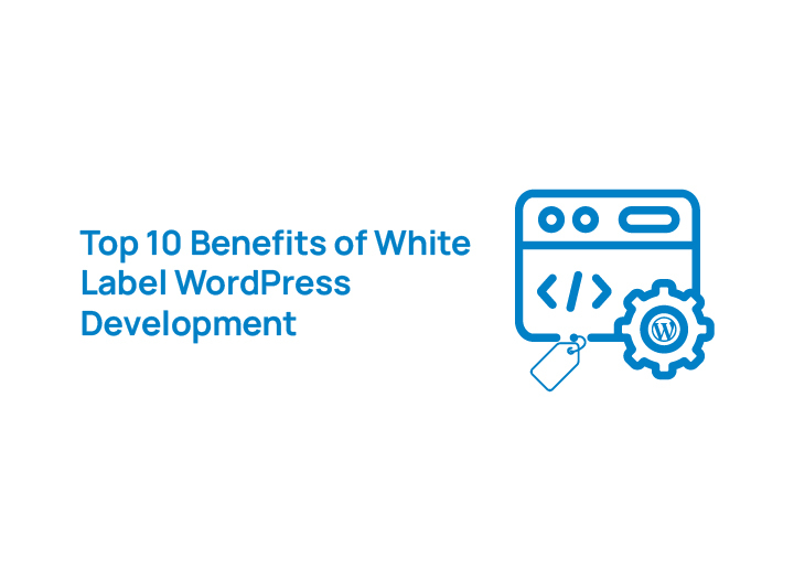 top-10-benefits-of-white-label-wordpress-development