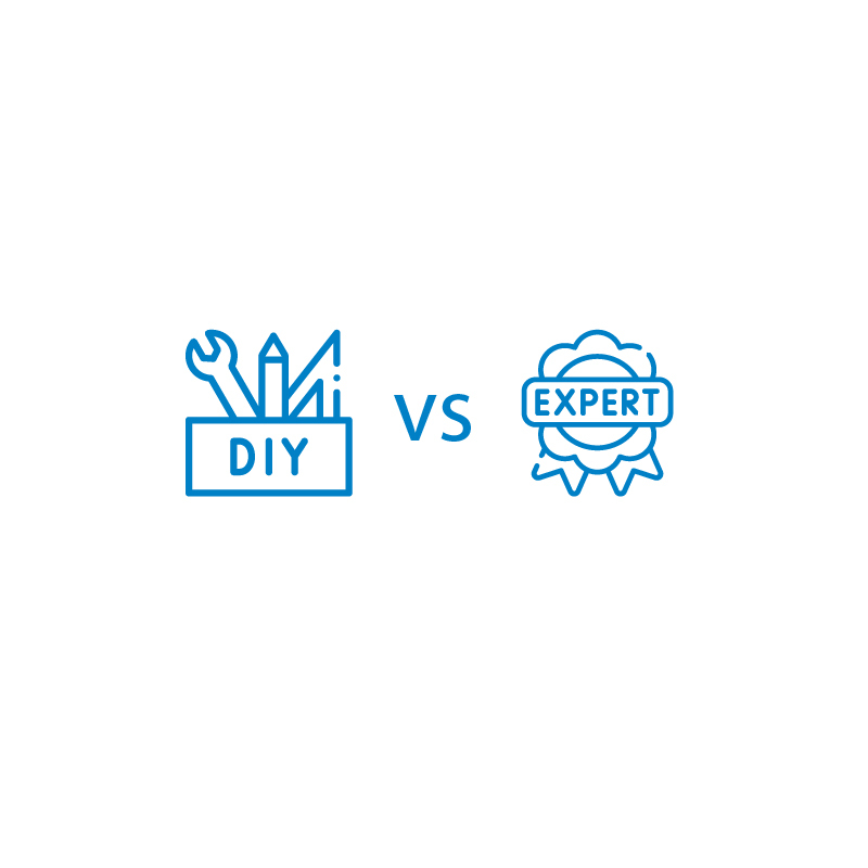 DIY-Vs-Professional-WordPresss-Support