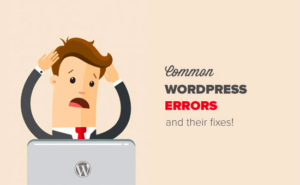 common-wordpress-errors