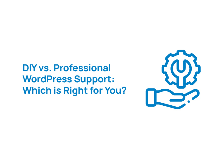 diy-vs-professional-wordpress-support-which-one-is-right-for-you