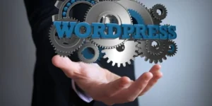 why wordpress support is essential