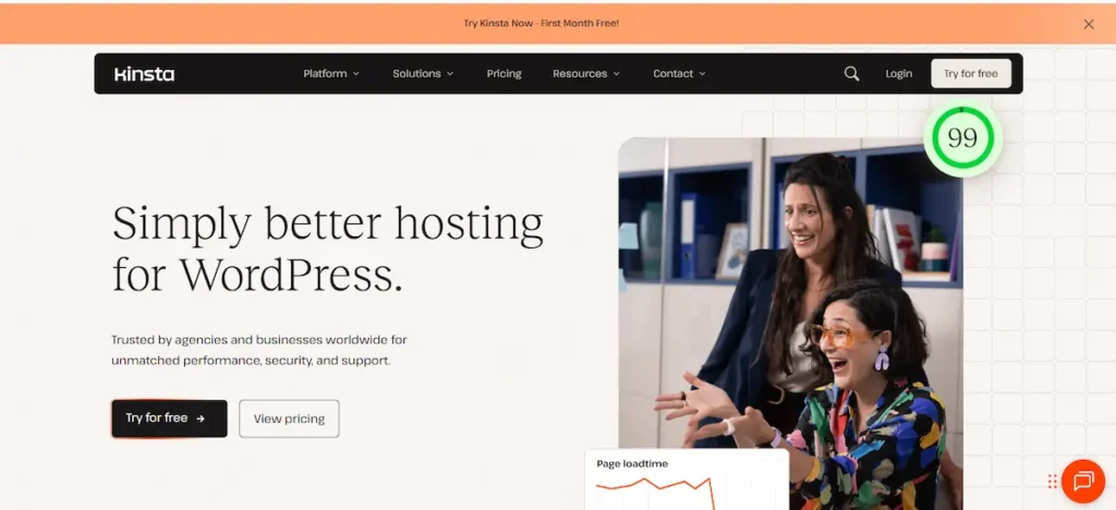 kinsta homepage