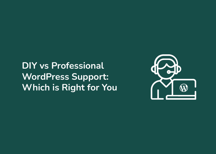 DIY vs. Professional WordPress Support
