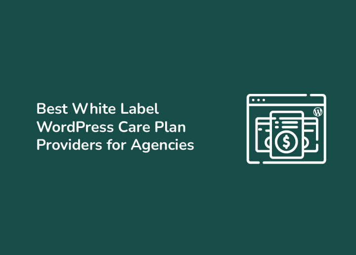 Best White Label WordPress Care Plan Providers for Agencies