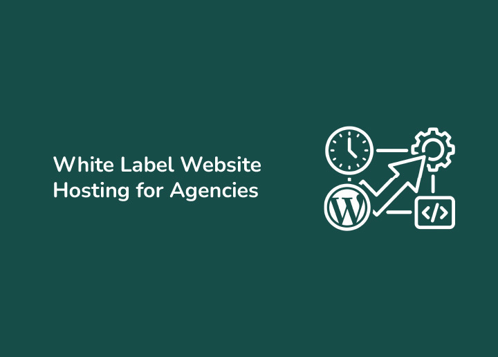 White Label Website Hosting An Ultimate Guide for Agencies