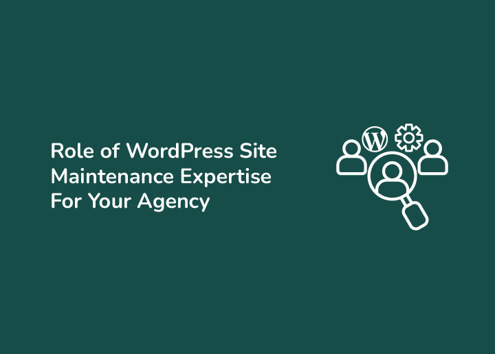 Role of WordPress Site Maintenance Expertise For Your Agency